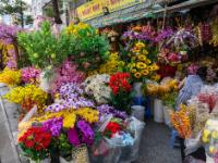 Blumenladen an der Straße mit üppiger Pflanzenwelt - Saigon - Vietnam